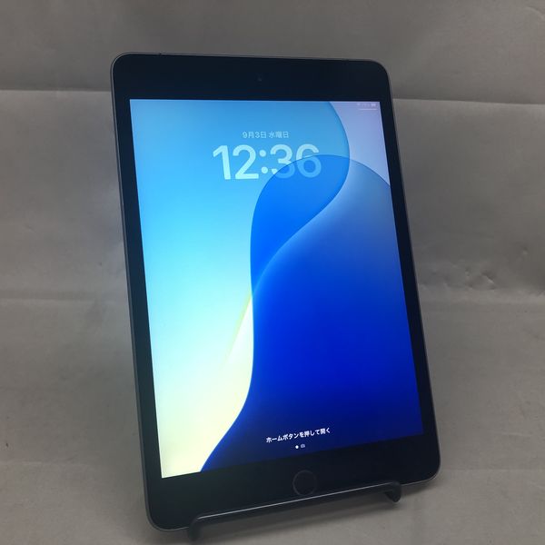 iPad mini5 256GB スペースグレイ MUXC2J/A 最 安 価格