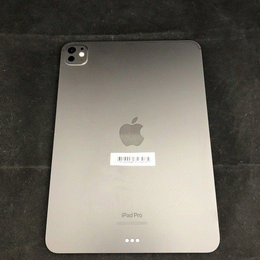 APPLE 〔中古〕iPad Pro 11インチ 第5世代 標準ガラス 256GB シルバー