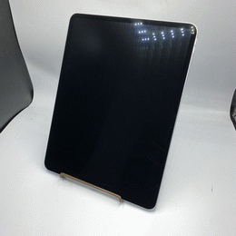 APPLE 〔中古〕iPad Pro 13インチ 第1世代 標準ガラス 256GB スペース