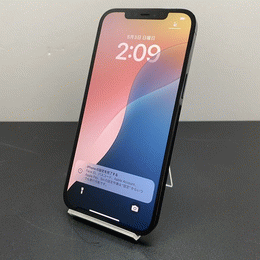 iPhone 12 Pro Max パシフィックブルー 本体 中古品 iPhone 12 Pro Max iPhone12 128GB パシフィックブルー SIMフリー 中古