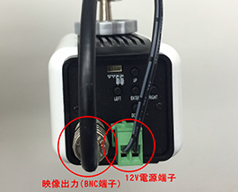 ところでアナログカメラって何?