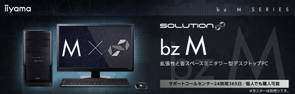 SOLUTION Mモデル