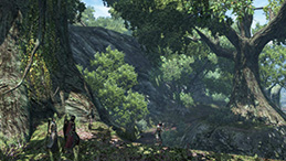 ドラゴンズドグマ オンライン スクリーンショット8