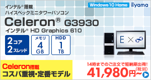 STYLE-E022-C-HC-D [Windows 10 Home]41980