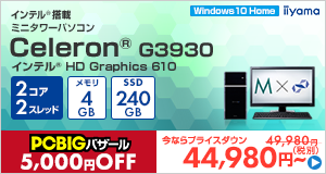 STYLE-M022-C-HCS [Windows 10 Home]44980