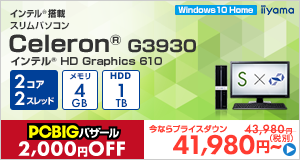 STYLE-S022-C-HC [Windows 10 Home]41980