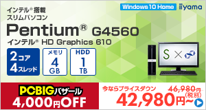 STYLE-S022-P-HC [Windows 10 Home]42980