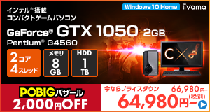 LEVEL-C122-P-LN [Windows 10 Home]64980