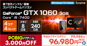 LEVEL-C117-i5-RNJS [Windows 10 Home]96980