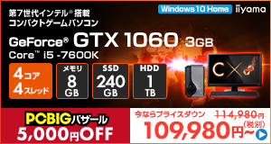 LEVEL-C117-i5K-RNJR [Windows 10 Home]109980