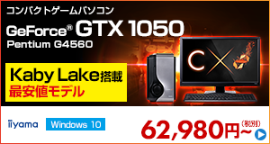 LEVEL-C122-P-LN-L [Windows 10 Home]