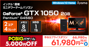 LEVEL-M022-P-LN [Windows 10 Home]61980