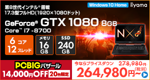 LEVEL-17FG101-i7-VNRS [Windows 10 Home]264980