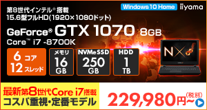 LEVEL-15FR100-i7K-TNRVI [Windows 10 Home]229980