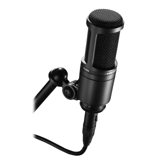 mic