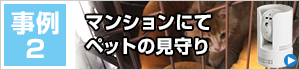 導入事例 マンションにてペットの見守り
