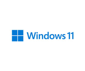 windows 11