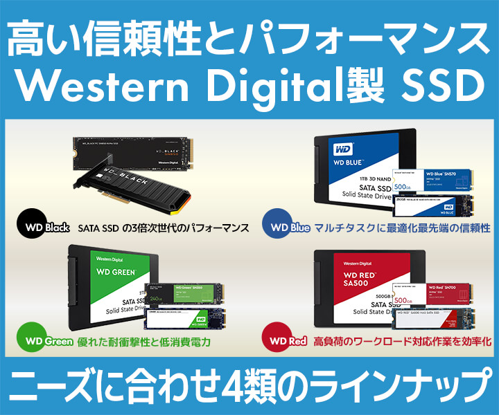 Western Digital(ウエスタンデジタル)製内蔵SSD