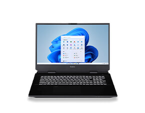 17型