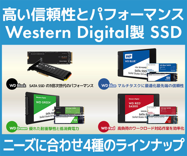 Western Digital（ウエスタンデジタル）製内蔵SSD