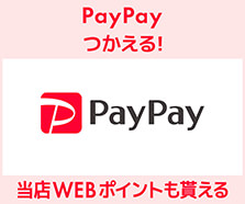 PayPayについて