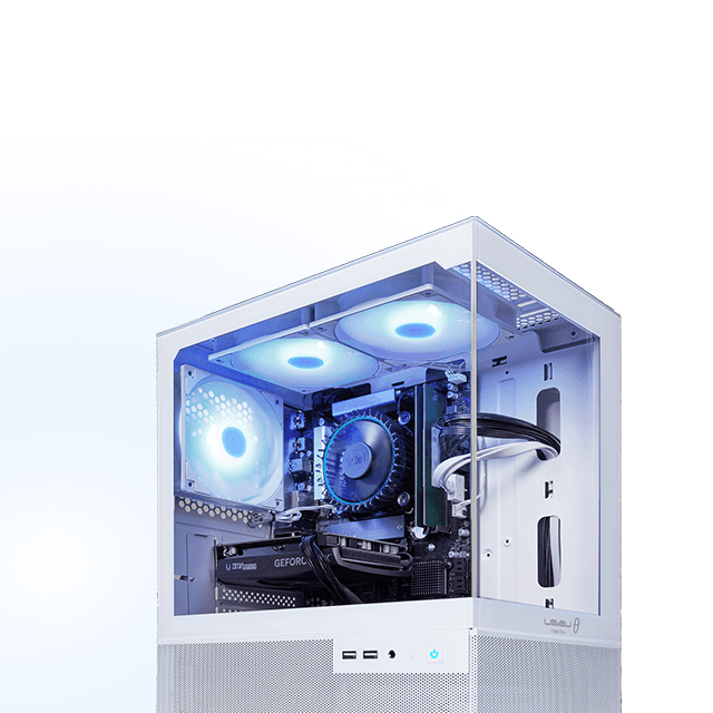 WHITE / WHITE