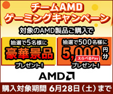 チームAMDゲーミングキャンペーン
