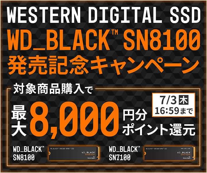 Western Digital(ウエスタンデジタル)製内蔵SSD