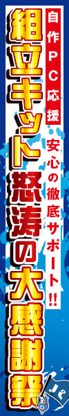 組立キット怒涛の大感謝祭