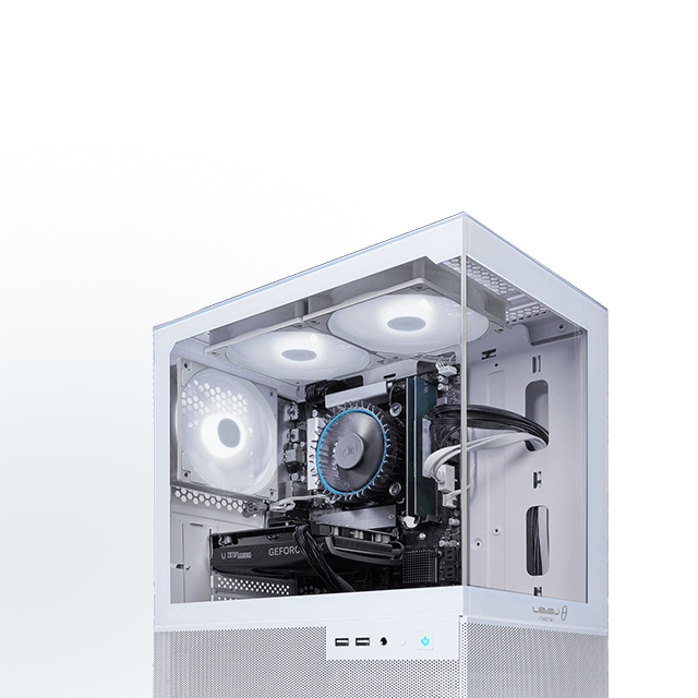 WHITE / WHITE