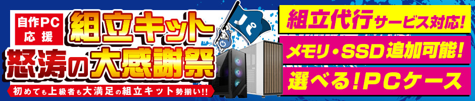組立キット怒涛の大感謝祭