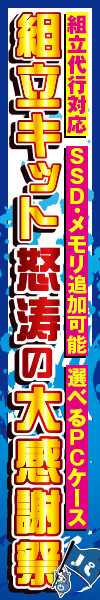 組立キット怒涛の大感謝祭