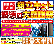 組立キット怒涛の大感謝祭
