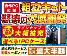 組立キット怒涛の大感謝祭