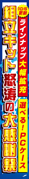 組立キット怒涛の大感謝祭