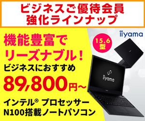 インテル® プロセッサー N100搭載 15.6型ノートパソコン